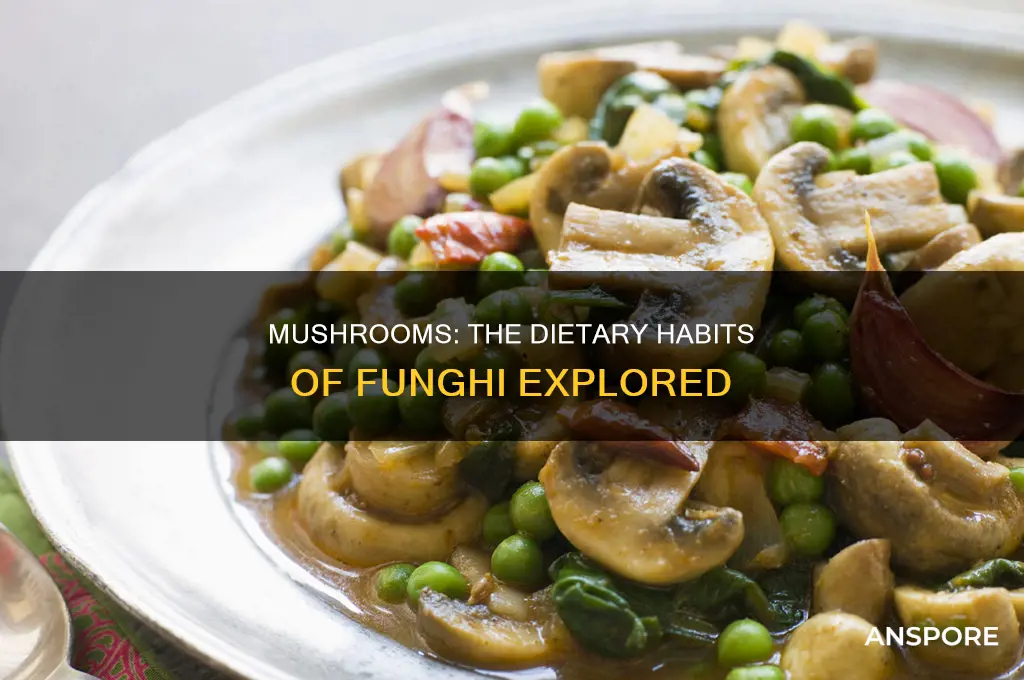 are mushrooms herbivores omnivores or carnivores