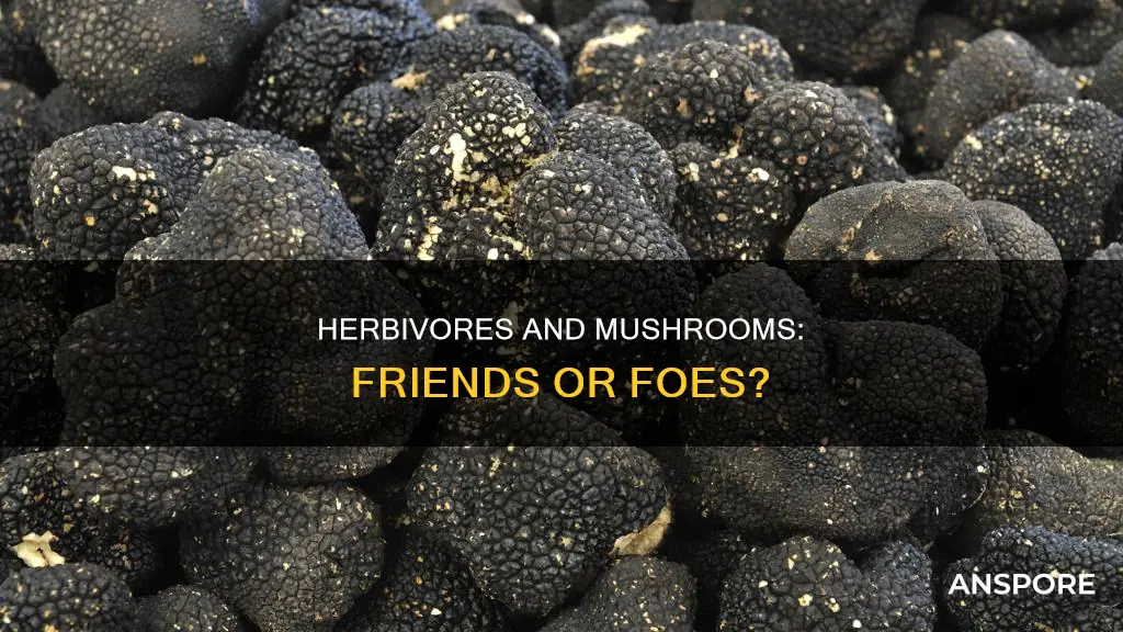 are mushrooms herbivores