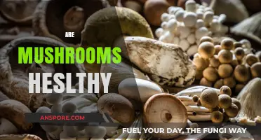Mushrooms: Superfood or Super-Risky?