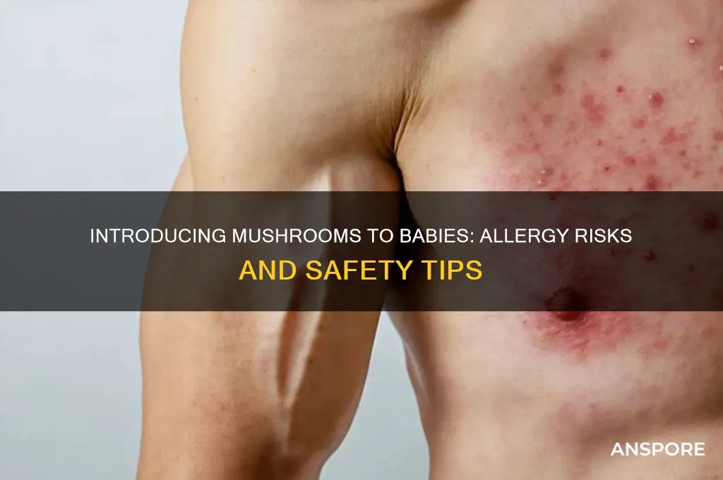 are mushrooms high allergy foods for babies