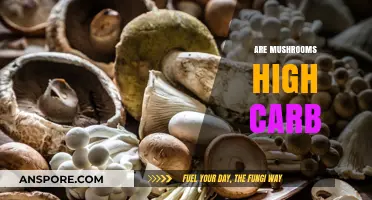 Mushrooms: Carb Content and Healthy Alternatives