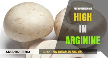Arginine in Mushrooms: How Much Is Too Much?