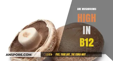 Mushrooms: A Rich Source of B12?