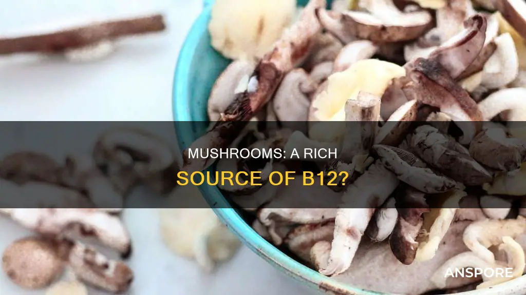 are mushrooms high in b12