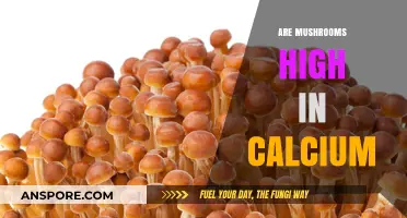 Mushrooms: A Rich Source of Calcium?