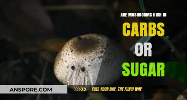 Mushrooms: Carb and Sugar Content Explained