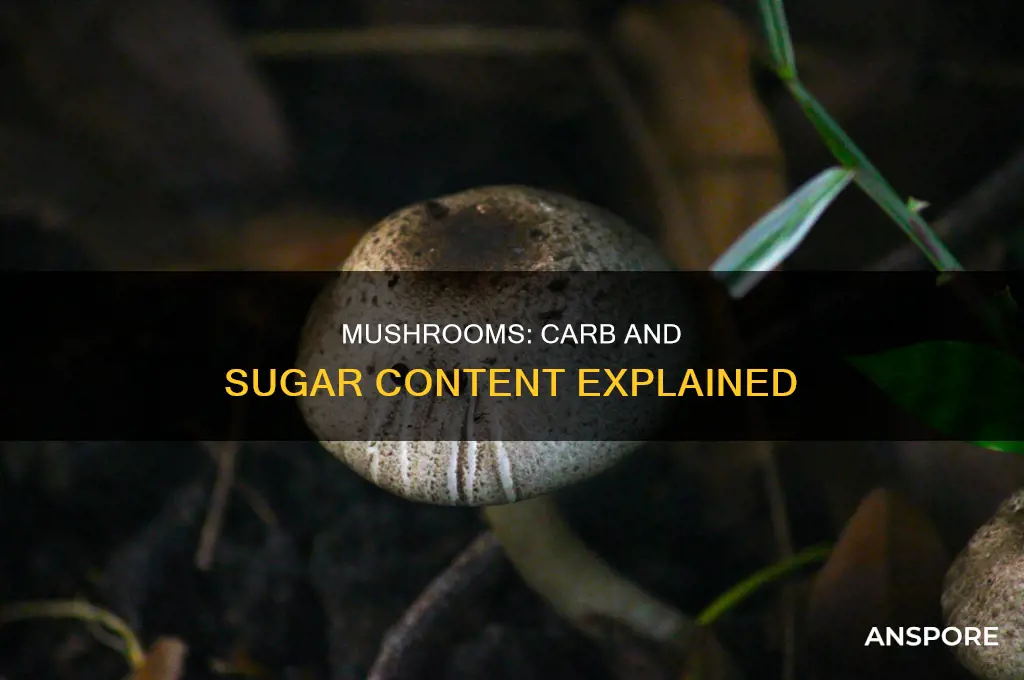 are mushrooms high in carbs or sugar
