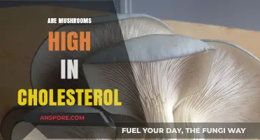 Mushrooms: High Cholesterol or Healthy Superfood?