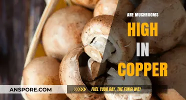 Mushrooms: A Rich Source of Copper?