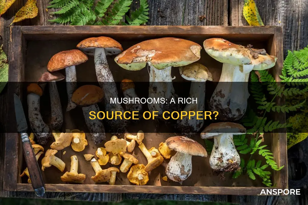 are mushrooms high in copper