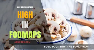 Mushrooms and FODMAPs: Friend or Foe?
