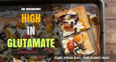 Mushrooms: High Glutamate Content or Healthy Superfood?