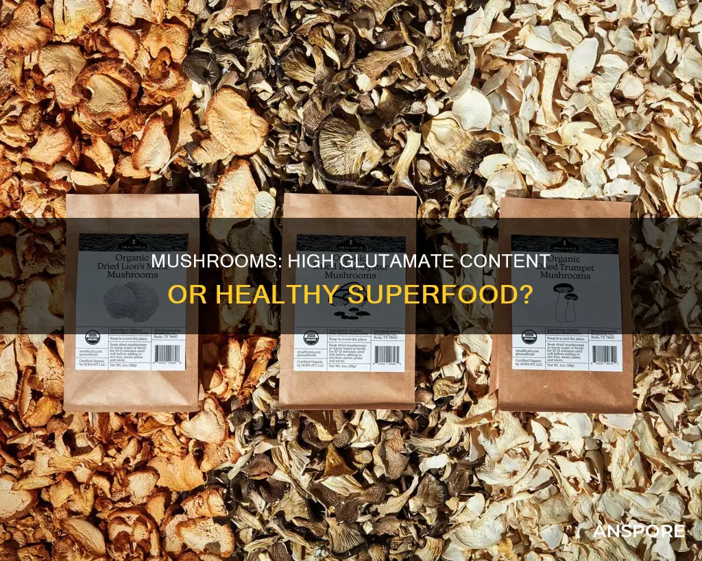 are mushrooms high in glutamate