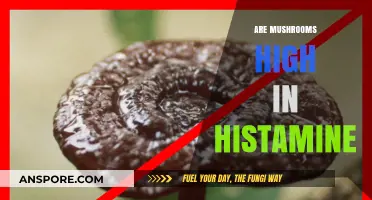 Mushrooms and Histamine: What's the Deal?