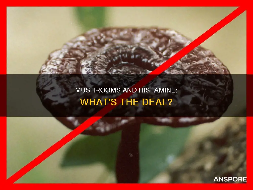 are mushrooms high in histamine