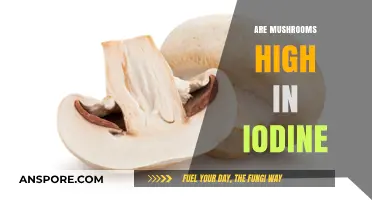 Mushrooms: Iodine-Rich Superfood?