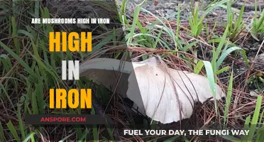 Mushrooms: A Rich Source of Iron?