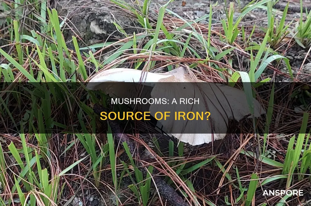 are mushrooms high in iron high in iron