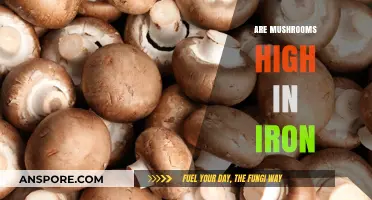 Mushrooms: A Rich Source of Iron?