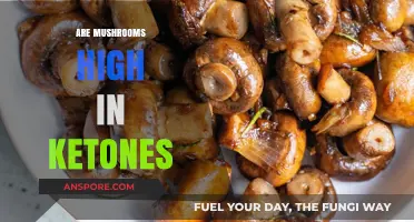 Mushrooms and Ketones: A Healthy Match?