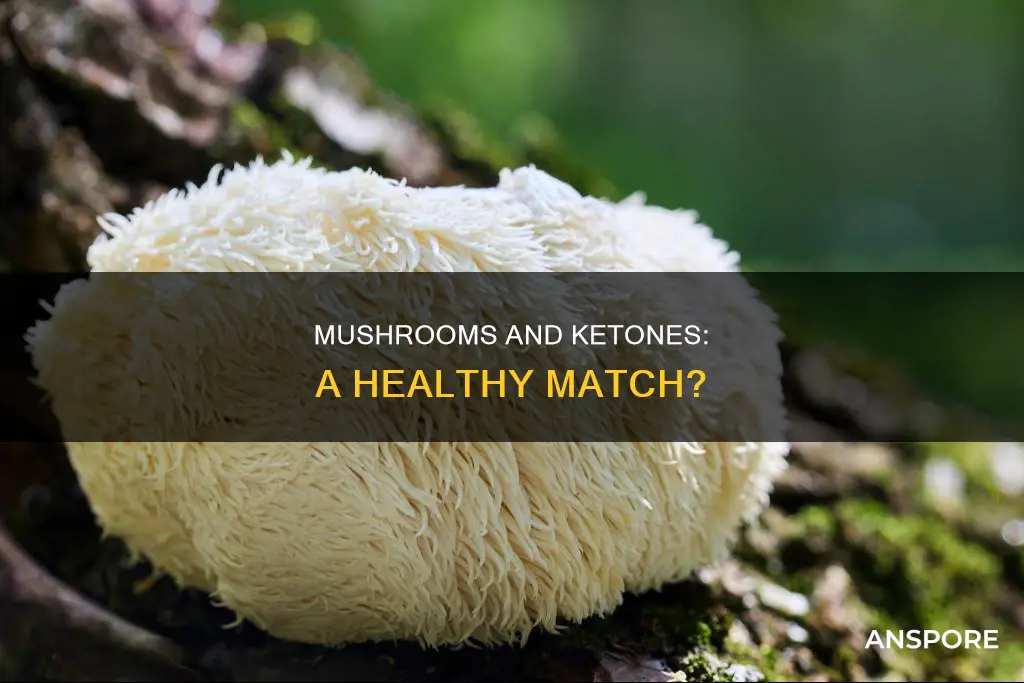 are mushrooms high in ketones