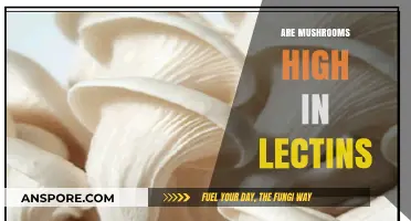 Mushrooms and Lectins: What's the Connection?