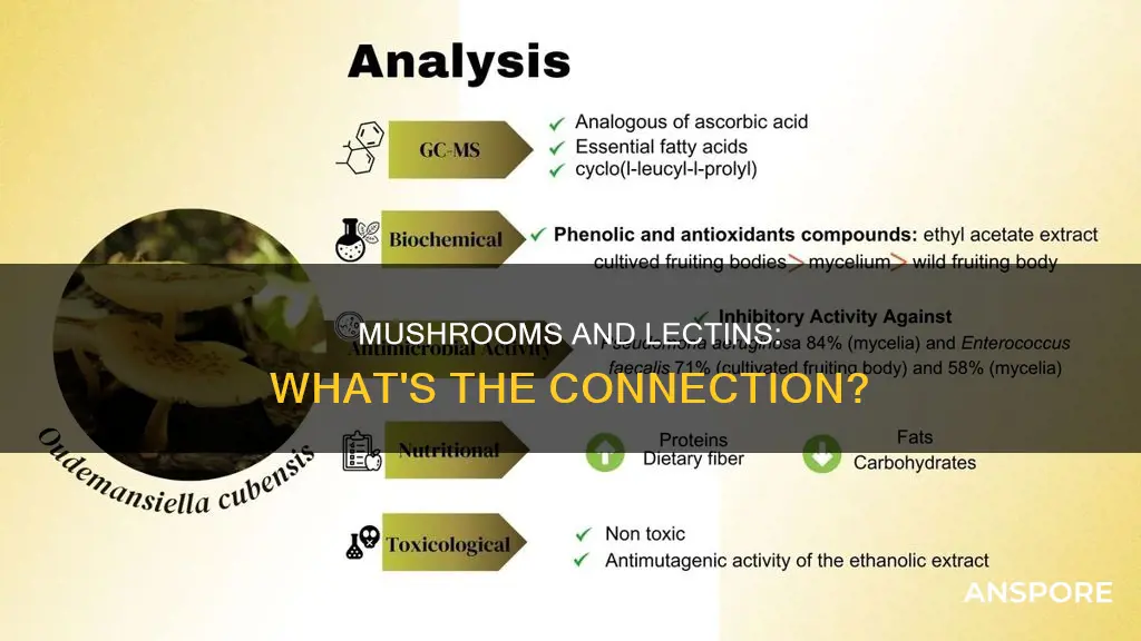 are mushrooms high in lectins