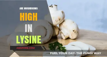 Mushrooms: A Rich Source of Lysine?