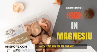 Mushrooms: A Rich Source of Magnesium?