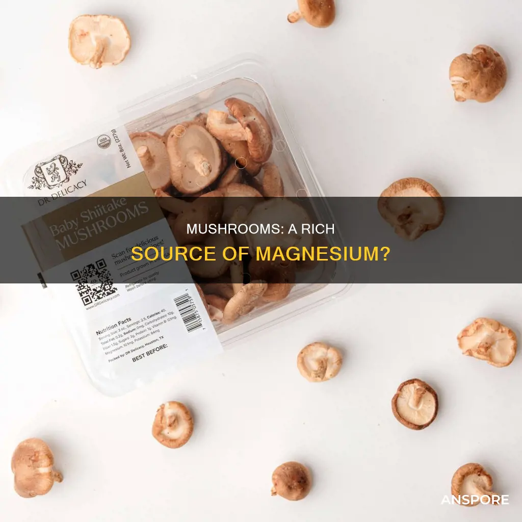 are mushrooms high in magnesium