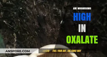 Mushrooms and Oxalate: What's the Connection?