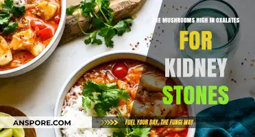 Mushroom Oxalate Content: Kidney Stone Risks?