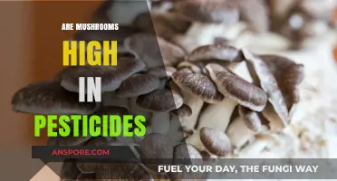 Mushrooms and Pesticides: A Toxic Relationship?