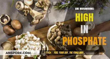 Mushrooms and Phosphate: A Healthy Balance?