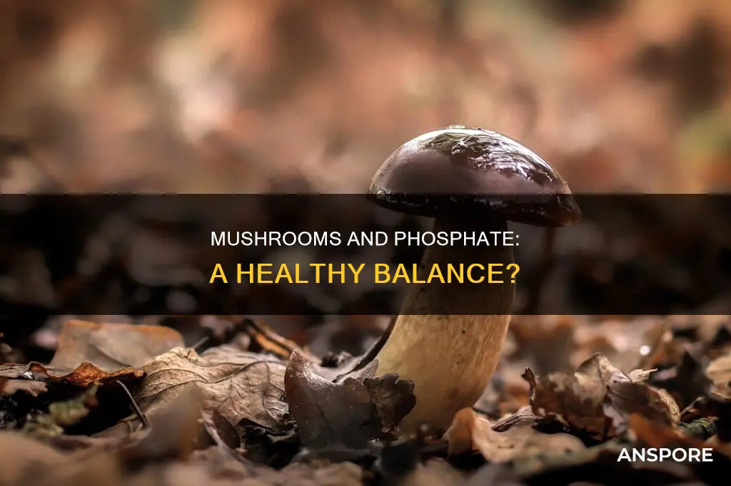 are mushrooms high in phosphate