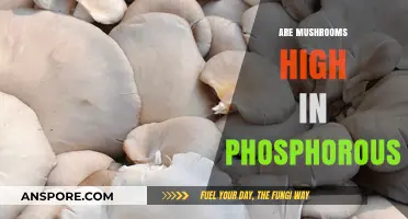 Mushrooms: High Phosphorous Superfood?