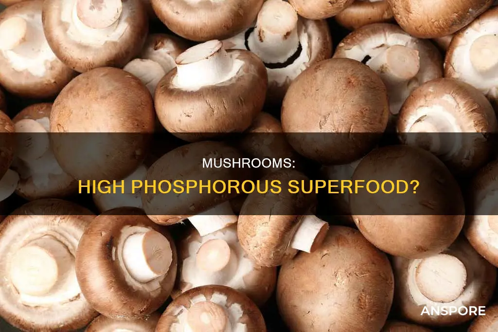 are mushrooms high in phosphorous