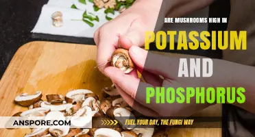 Mushrooms: Potassium and Phosphorus Powerhouses
