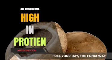 Mushrooms: A Surprising Source of Protein?