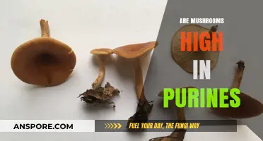 Mushrooms and Purines: A High-Risk Combination?