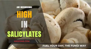 Mushrooms and Salicylates: What's the Connection?