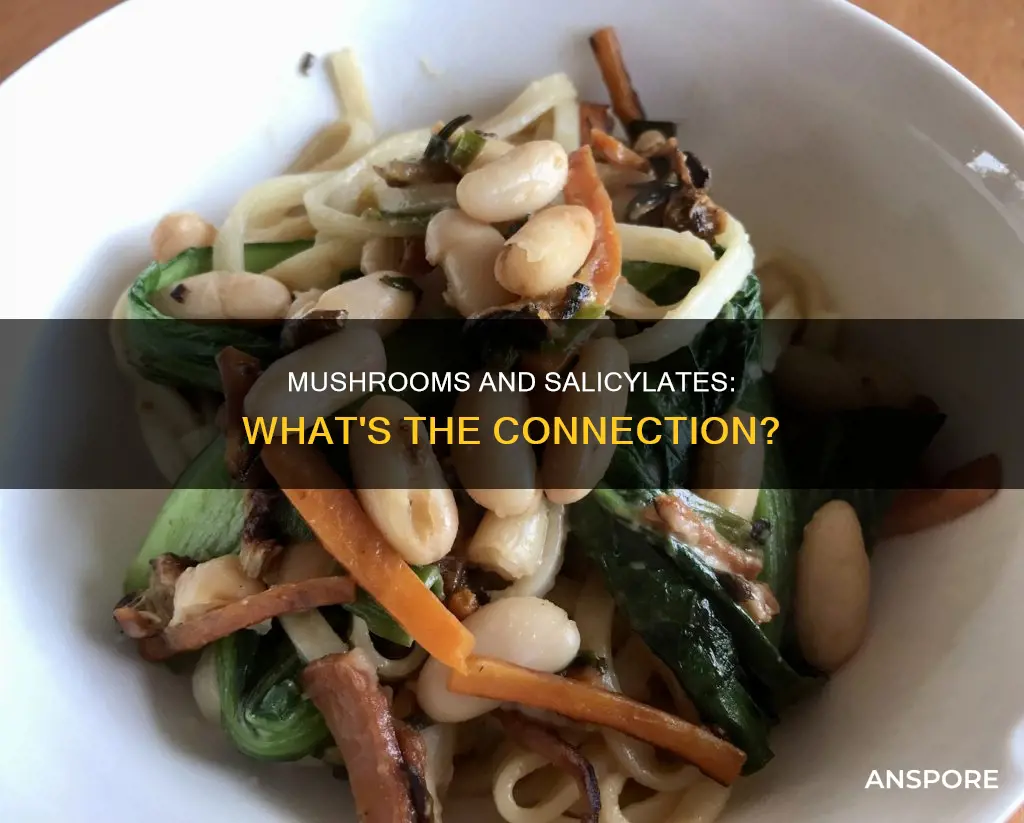 are mushrooms high in salicylates