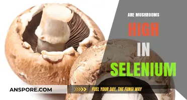 Mushrooms and Selenium: A Nutritional Powerhouse?