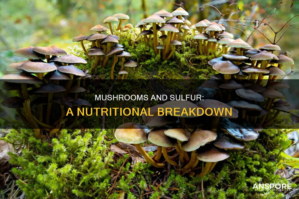 are mushrooms high in sulfur