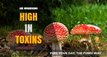 Mushrooms: Toxicity and Health Risks