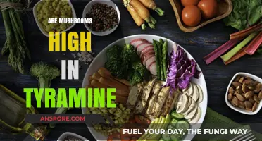 Mushrooms and Tyramine: What's the Deal?