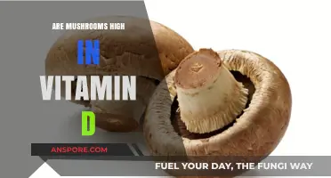 Mushrooms and Vitamin D: Unlocking the Sunlight Nutrient in Fungi