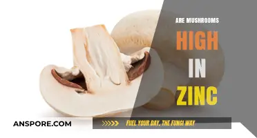 Mushrooms: A Rich Source of Zinc?