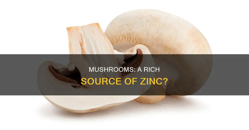 are mushrooms high in zinc