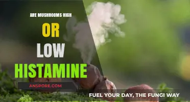 Mushrooms: High or Low Histamine?